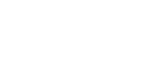 Vegalsa